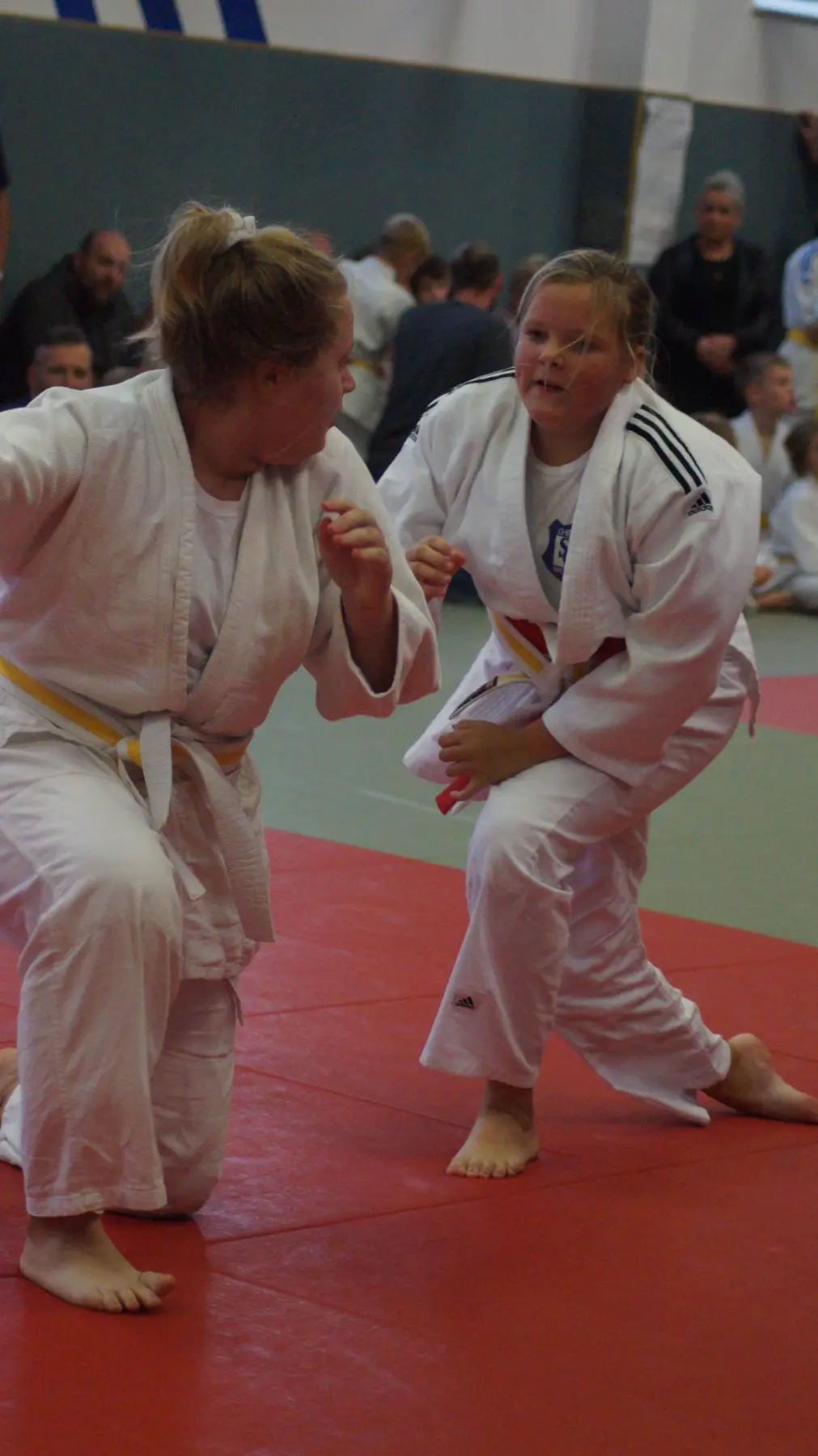 PSV Anhalt Zerbst Judo Köthen
